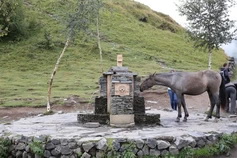 Лошади в горах Грузии