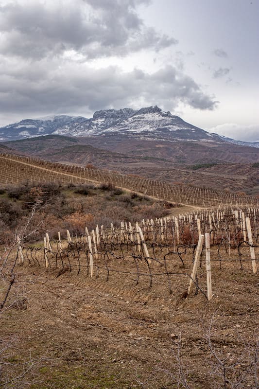 Гора Демерджи в Крыму и виноградники