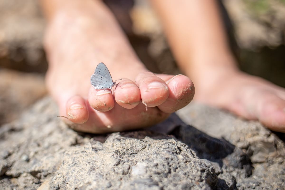Бабочка на ноге в походе по Крыму