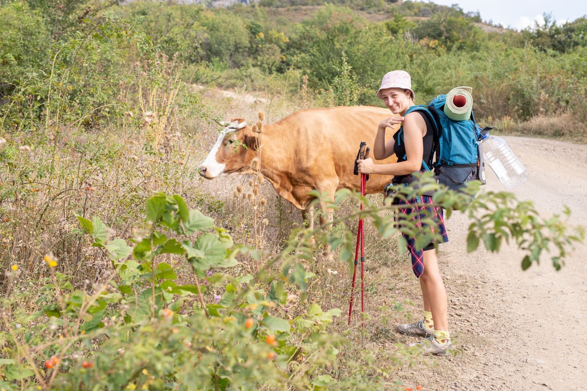 Улыбающийся турист рядом с коровой