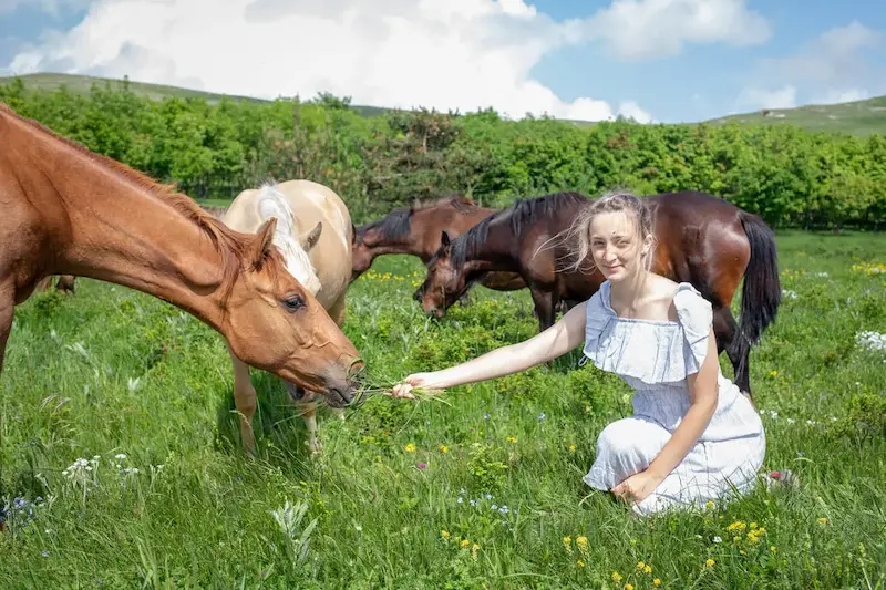 Девушка в платье кормит лошадей в горах Крыма
