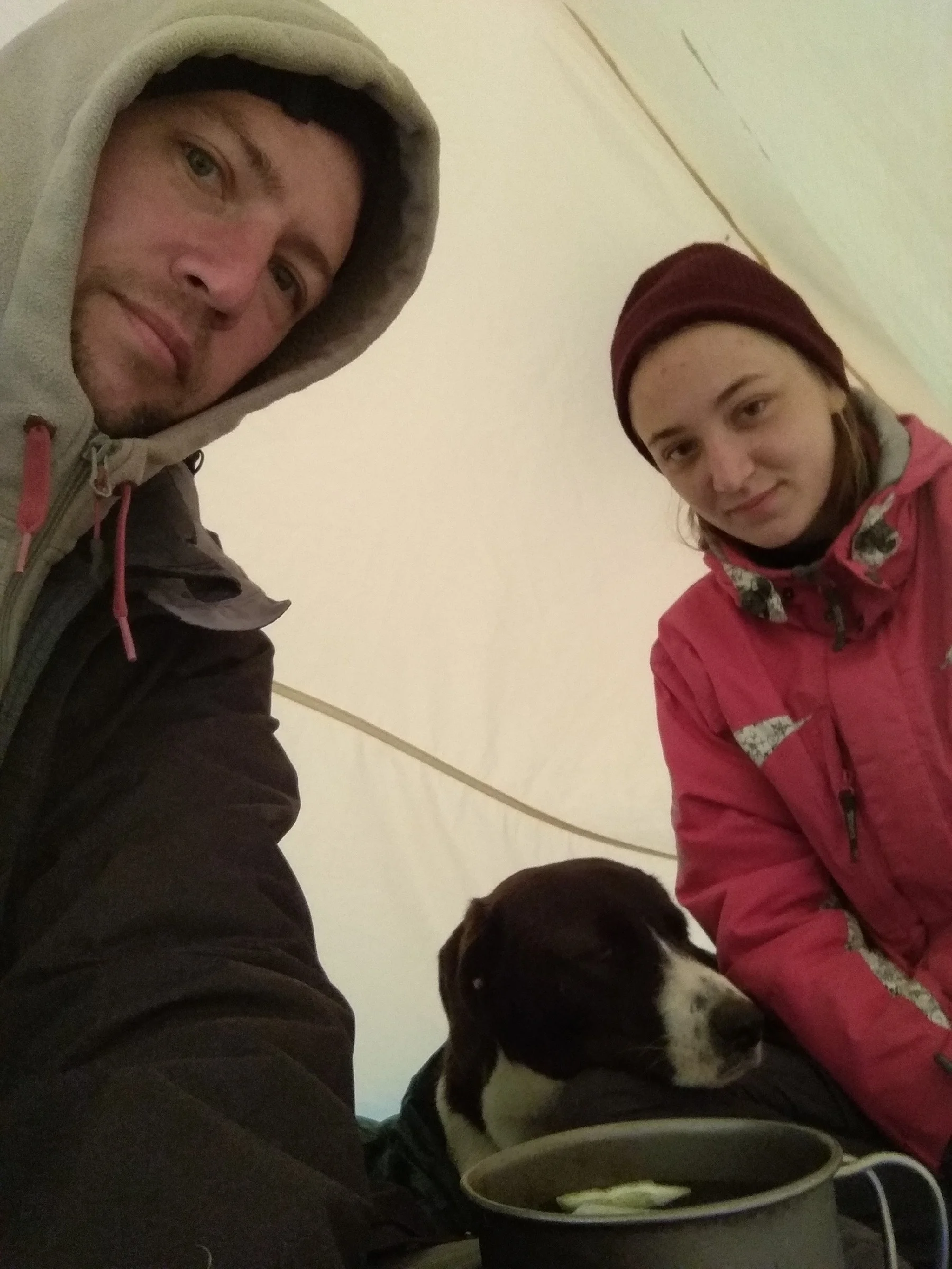 В двухместной палатке с собакой
