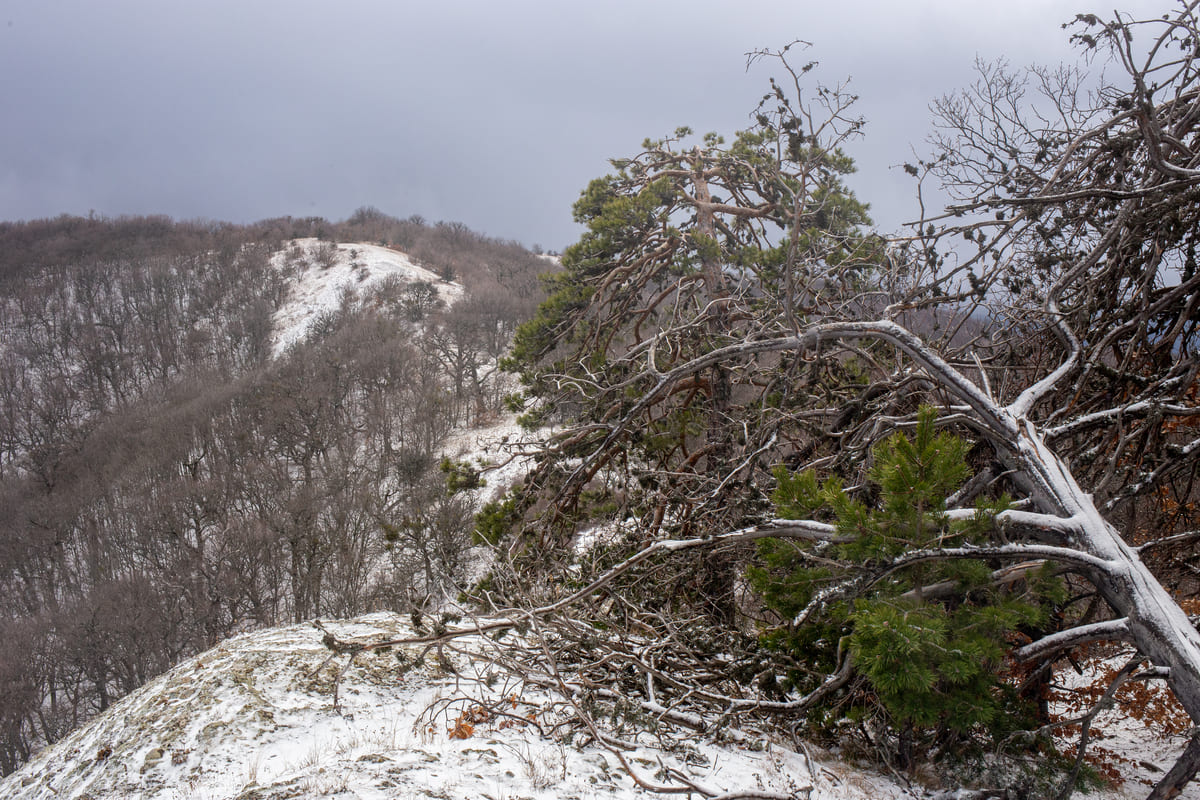 Тропы по горам Крыма зимой в снегу